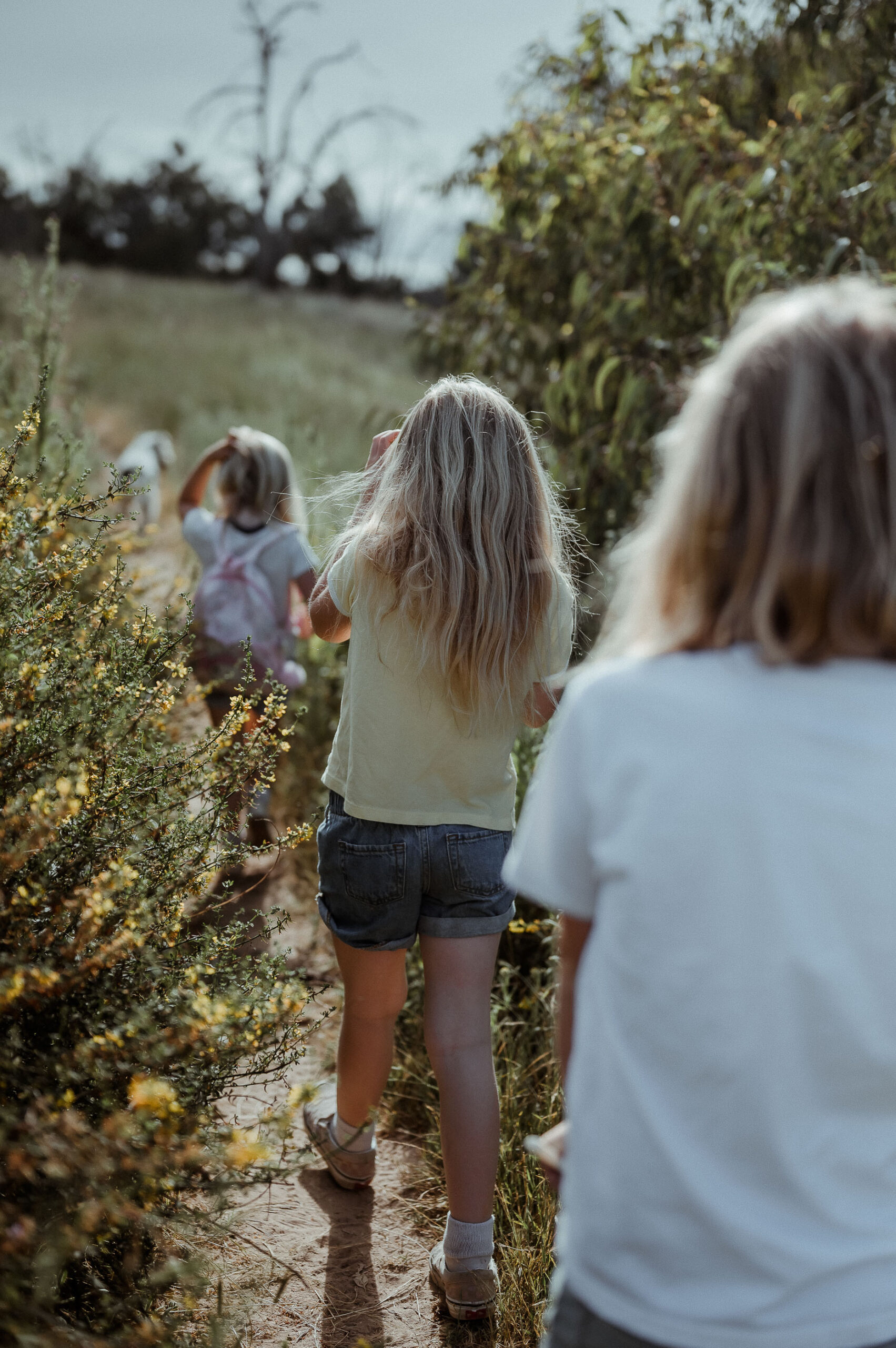 Family hiking in Kentucky state park with kids